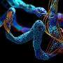 Insgesamt konnten unter Einsatz der Künstlichen Intelligenz (KI) 54 Proteine entdeckt werden, die als Anzeiger für die Schwere der Erkrankung dienen