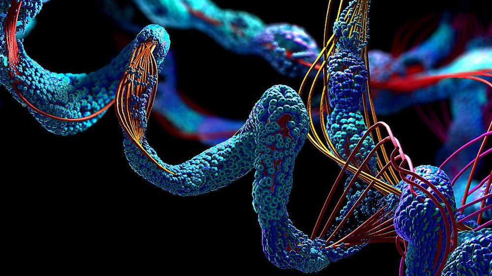 Insgesamt konnten unter Einsatz der Künstlichen Intelligenz (KI) 54 Proteine entdeckt werden, die als Anzeiger für die Schwere der Erkrankung dienen