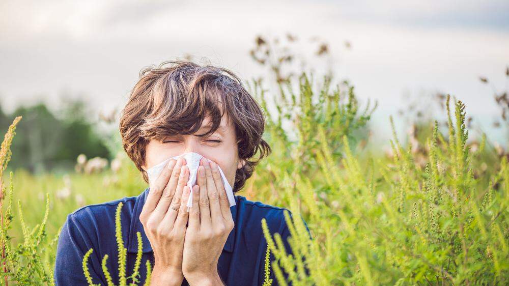 Pollenallergie: Gräser führen bei Betroffenen heuer zu besonders starken Reaktionen