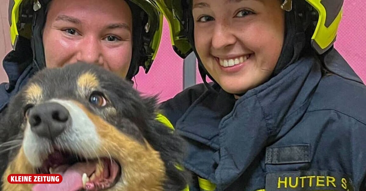 Missing grandfather and dog rescued in Riedlingsdorf fire