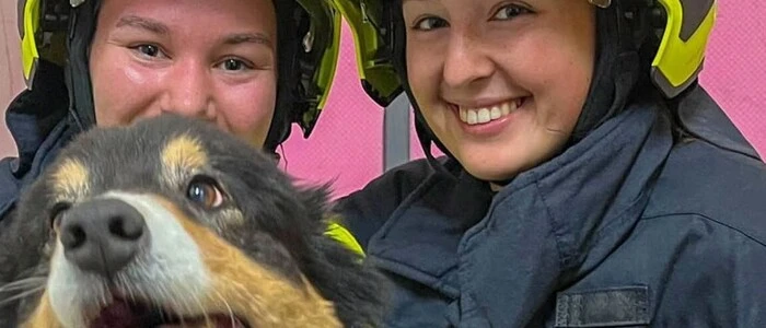 Der Familienhund wurde vom Atemschutztrupp im verrauchten Gebäude gefunden