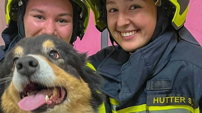 Der Familienhund wurde vom Atemschutztrupp im verrauchten Gebäude gefunden