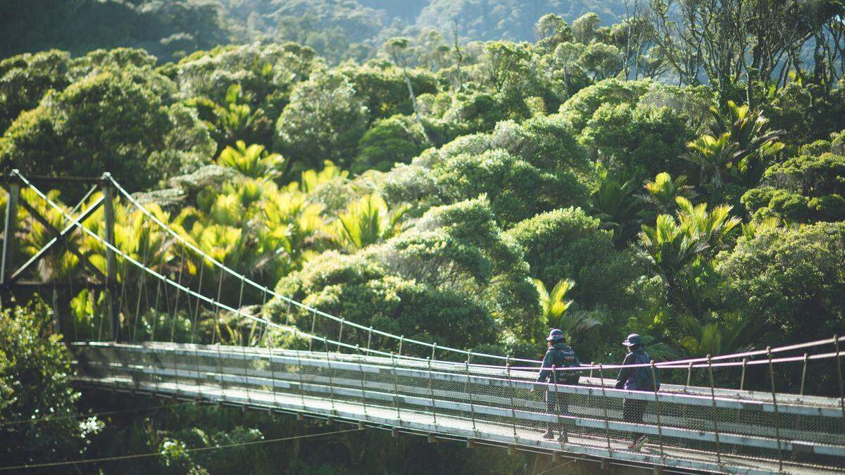 Mit dem Geld aus den Einreise-Gebühren werden die National-Parks in Neuseeland erhalten