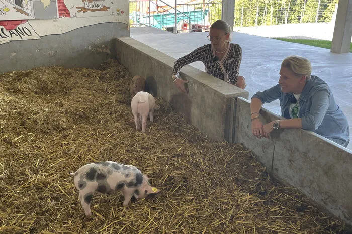 Auch Ferkel wurden besucht