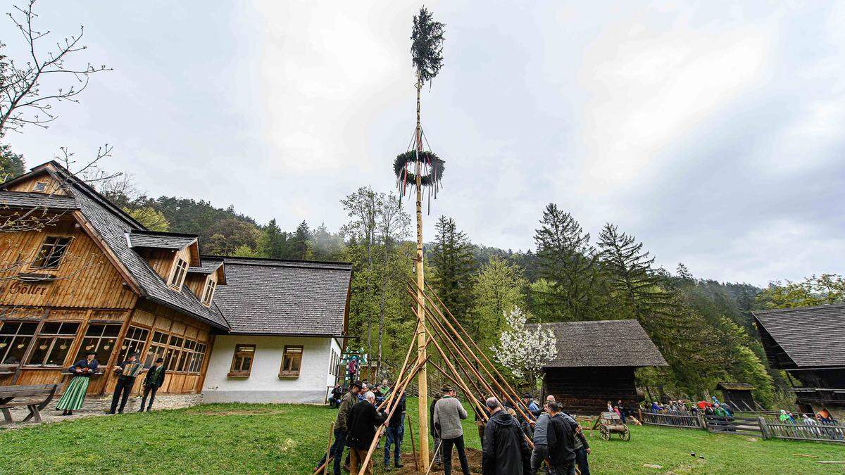 Verregnetes Maibaum-Aufstellen in Stübing