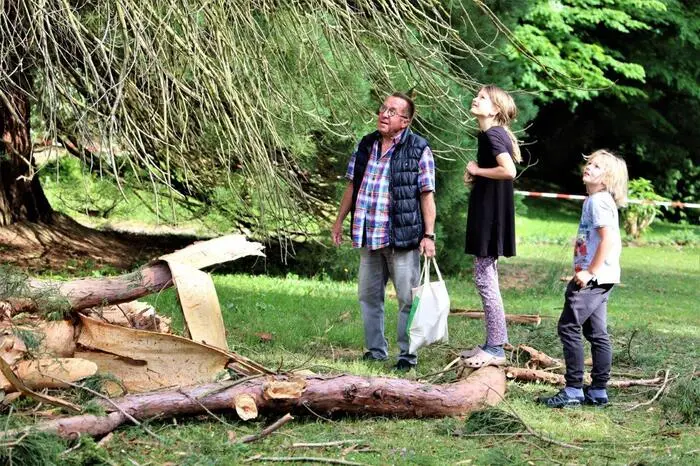 Der Baum - das Wahrzeichen von Bad Gleichenberg - wurde aber schwer beschädigt.