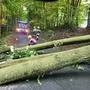 Elfmal mussten die Feuerwehren im Bezirk Deutschlandsberg wegen umgefallener Bäume ausrücken