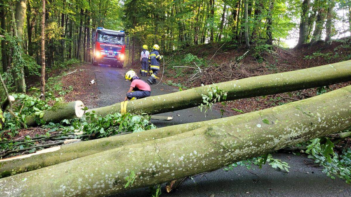 Elfmal mussten die Feuerwehren im Bezirk Deutschlandsberg wegen umgefallener Bäume ausrücken