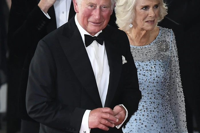 Camilla ist als die Ehefrau des Königs nun Königin, allerdings ohne selbst zu regieren, so wie Queen Elizabeth II. es tat. Ihr Titel lautet "Queen Consort", wie ihn einst auch die "Queen Mum" trug. Angesprochen wird Camilla deswegen auch als "Ihre Majestät" (Her Majesty) anstatt "Ihre royale Hoheit" (Her Royal Highness).
