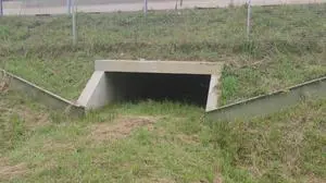 20 Amphibientunnel gibt es bald entlang der L 401