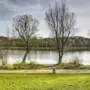 Wiese, ein Weg, Bäume und der Salzachsee