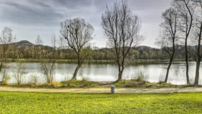 Wiese, ein Weg, Bäume und der Salzachsee