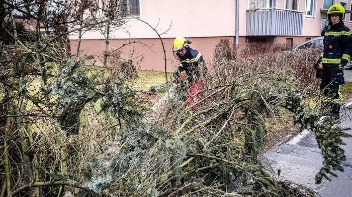 Durch die starken Windböen wurden in Mooskirchen mehrere Bäume entwurzelt, die entfernt wurden. In der  Ringstraße stürzte ein Baum auf die Straße und zerstörte dabei eine Straßenlaterne. Verletzt wurde zum Glück niemand.