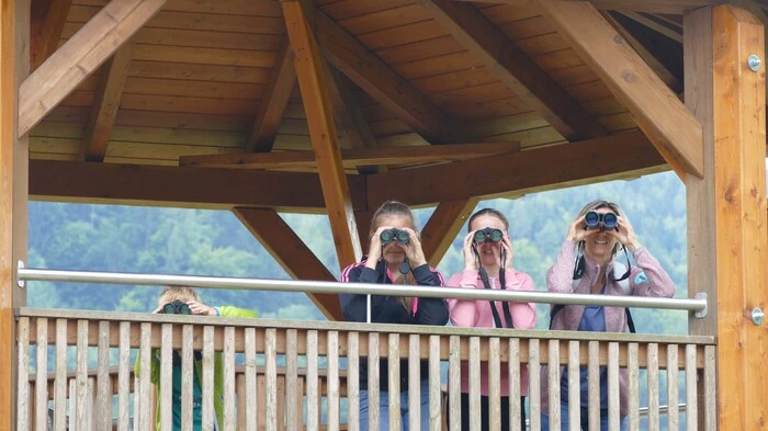 Wer sehen will, was so wuselt und fliegt im Bleistätter Moor, der kommt zum "Birdwatching"