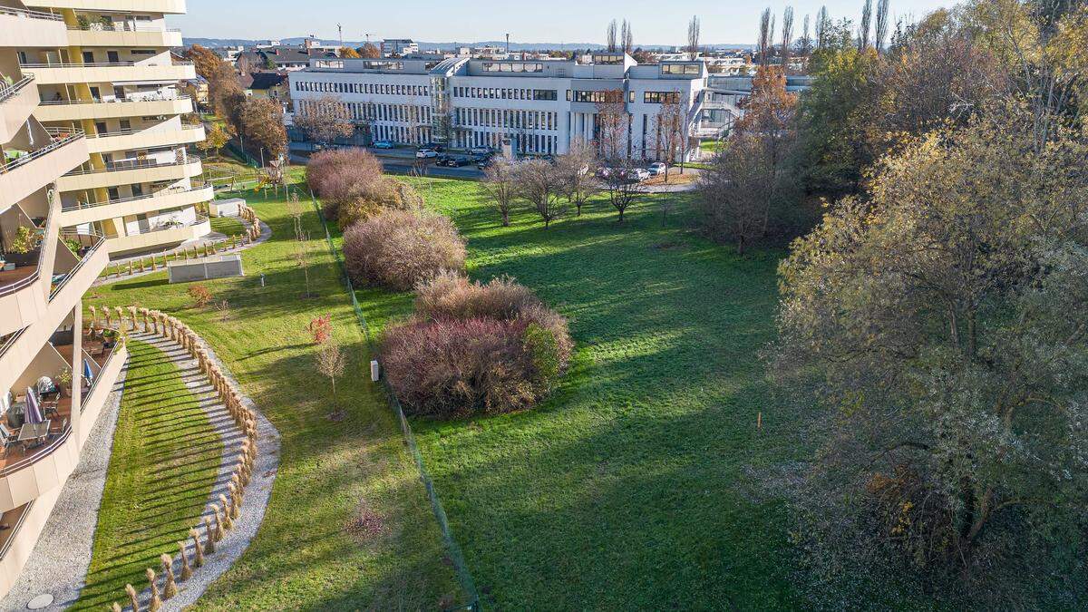 Die Bewohner der Green City sorgen sich um das Grün vor ihren Fenstern