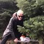 Volkssänger Heino beim Christbaum schneiden