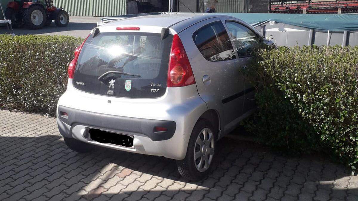 Die Feuerwehr musste das Auto bergen