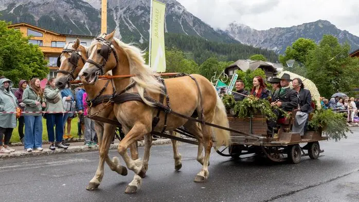 Mehr als 200 Pferde bestritten den Festumzug am Sonntag