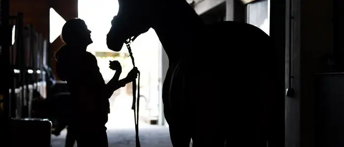Tödlicher Unfall in einem Reitstall (Sujetbild)