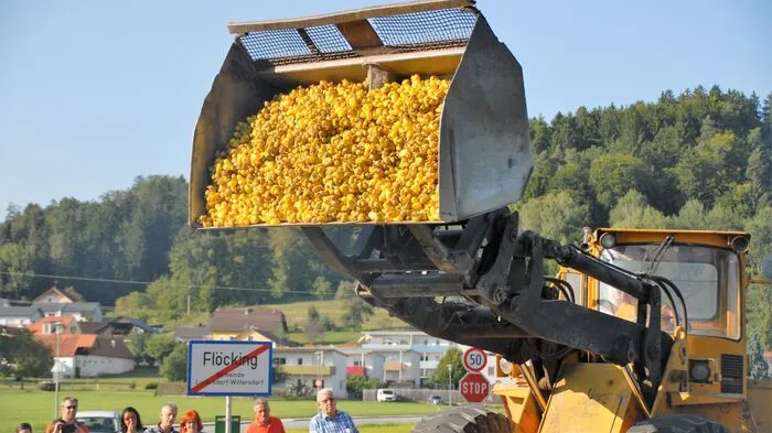 Vergangenen Samstag, am 4. September, schwammen 4860 in Flöcking bei Gleisdorf um die Wette.