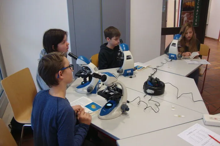Nach mehrstündigem Wettkampf siegte schließlich das Team „Dora“ (Tanja Wilding/Borg, Matthias Strohmeier/NMS Neumarkt, Franziska Miedl-Rissner/NMS Oberwölz und Nadine Tschaudi/NMS Stadl)