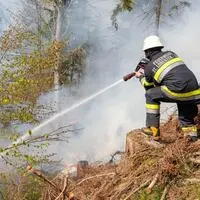 Der Waldbrand in Matrei ist im steilen Gelände ausgebrochen (Symbolfoto)