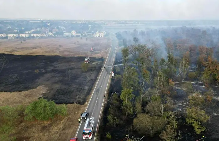 ABD0081_20240902 - GÄNSERNDORF - ÖSTERREICH: ZU APA0303 VOM 2.9.2024 - Waldbrand im Raum Gänserndorf am Montag, 02. September 2024. Die Flammen breiteten sich in Richtung einer Siedlung im Bereich Gänserndorf-Süd aus, konnten aber unter Kontrolle gebracht werden. - FOTO: APA/DOKU-NÖ