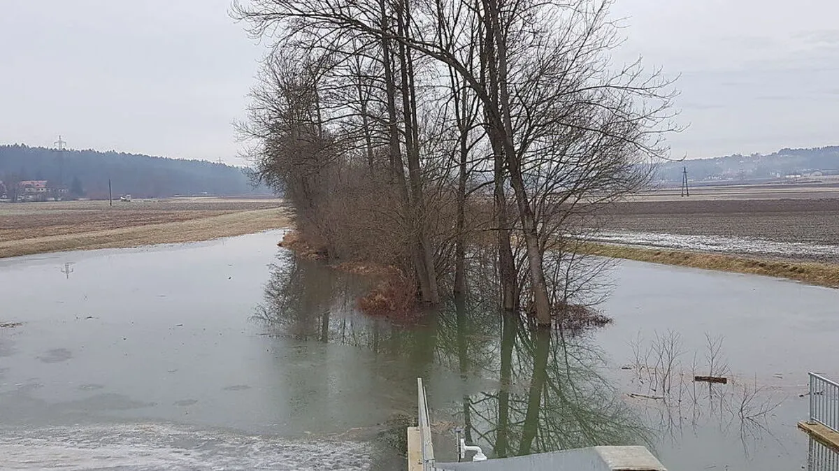 Normalerweise schlengelt sich der Lusenbach zwischen den beiden Bäumen durch