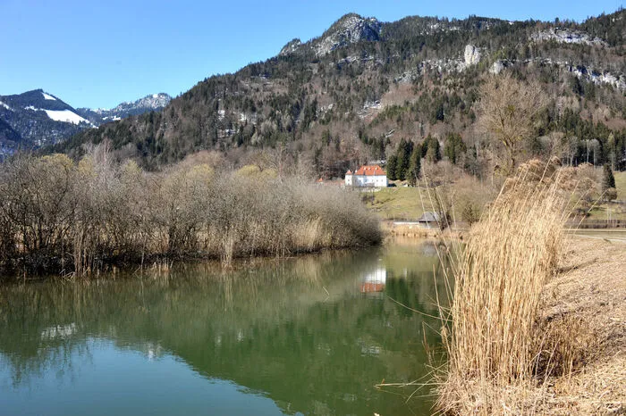 Idylle pur: Altarm der Enns im Osten von Stainach-Pürgg