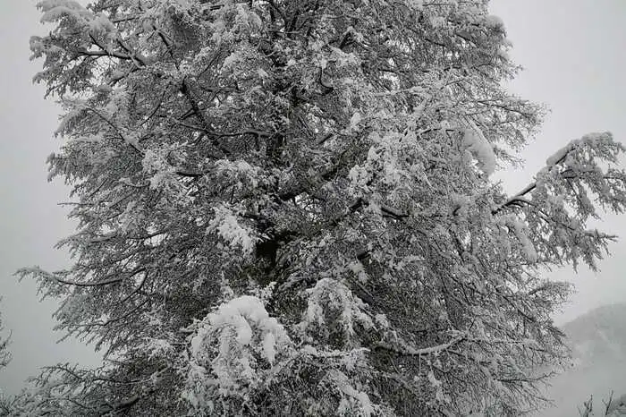 Auch im Osttiroler Virgental schneite es am Samstag ergiebig.