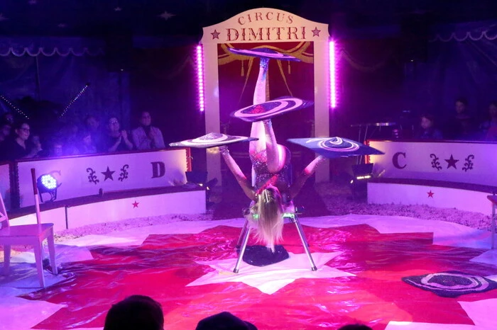 Ob Jessyka mit ihren fliegenden Teppichen (Foto), Allroundartist Stefano, Kautschukartistin Tessa, Jongleur Sonny, Clown Leon oder Zirkusdirektor Dimitri mit seiner weißen Zirkusmaus Augustine Mausini: Ja, da ist für jeden etwas dabei. 