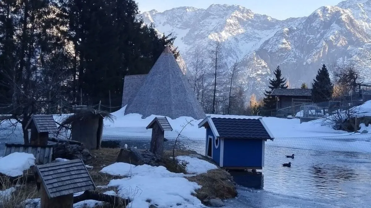 Im Wildpark Assling laufen bereits die Vorbereitung auf die neue Saison