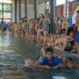 Wettkampfstimmung beim 25. Landesfinale des Pinguin Cups im Asia Spa in Leoben