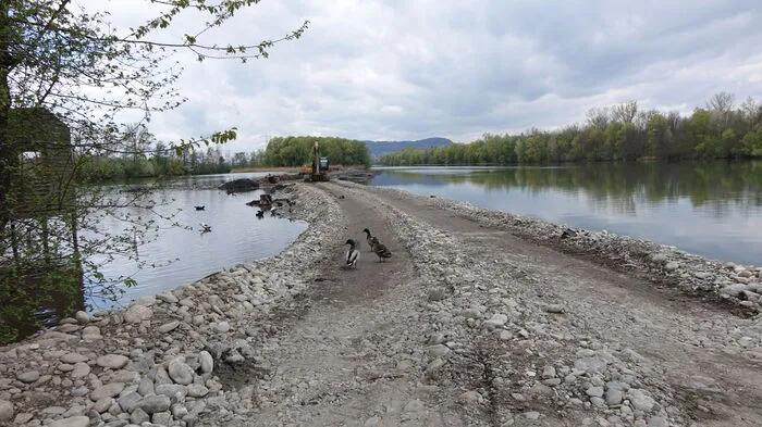 Die Seichtwasserzone im Bereich des Stauraums oberhalb des Kraftwerks Gralla ist seit 1978 ein Natur- und Vogelschutzgebiet.