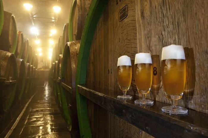 Aufgrund der ursprünglich sehr schlechten Bierqualität entschlossen sich Mitte des 19. Jahrhunderts die brauberechtigten Bürger Pilsens zum Bau einer neuen Brauerei, um damit die technischen Voraussetzungen für die Herstellung eines moderneren, untergärigen Bieres zu schaffen. 