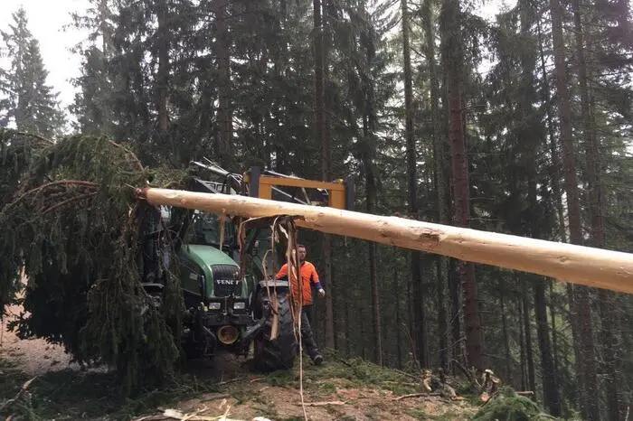 Bis es aber so weit ist, sind viele Schritte nötig.