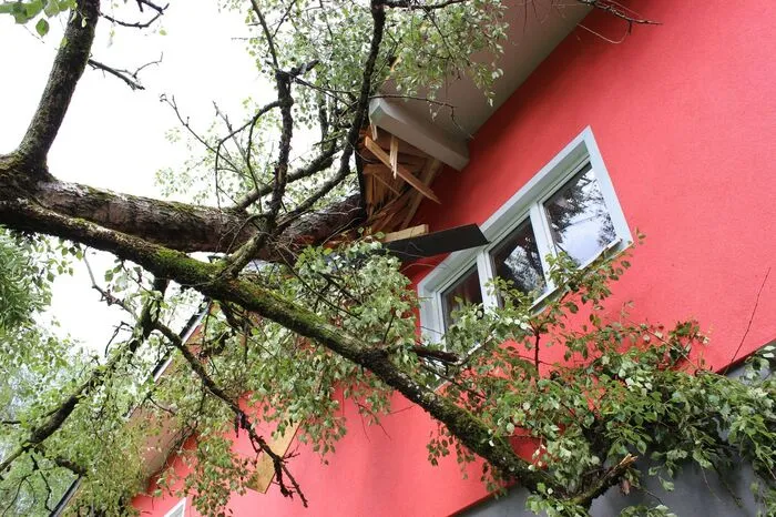 Umgestürzter Baum auf das Rüsthaus St. Georgen