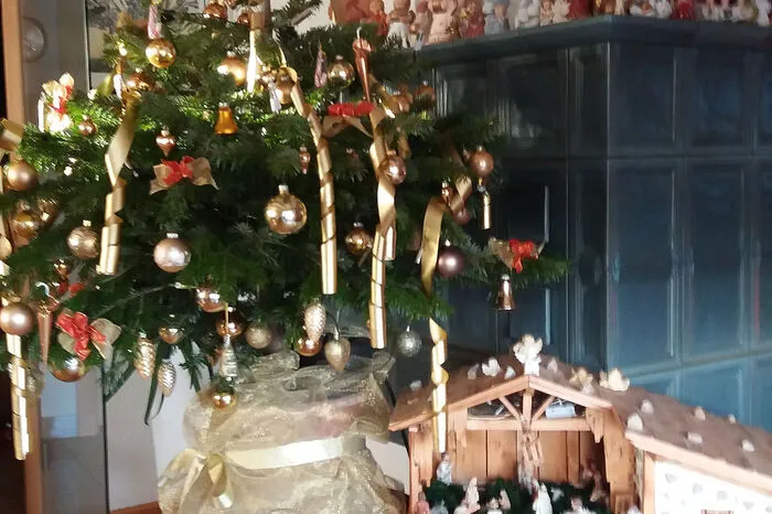 Dieser wunderschön geschmückte Baum steht samt Krippe zu Hause bei Edelgard Pacher in Köstenberg: "Unser Bäumchen kommt nach Weihnachten wieder in den Garten, wird gehegt und gepflegt und umgetopft und wird nächstes Jahr wieder ein Christbaum." Sollte der Baum dann dafür einmal zu groß sein, ausgepflanzt, "und erfreut uns dann hoffentlich viele Jahre als Lichterbaum im Garten".