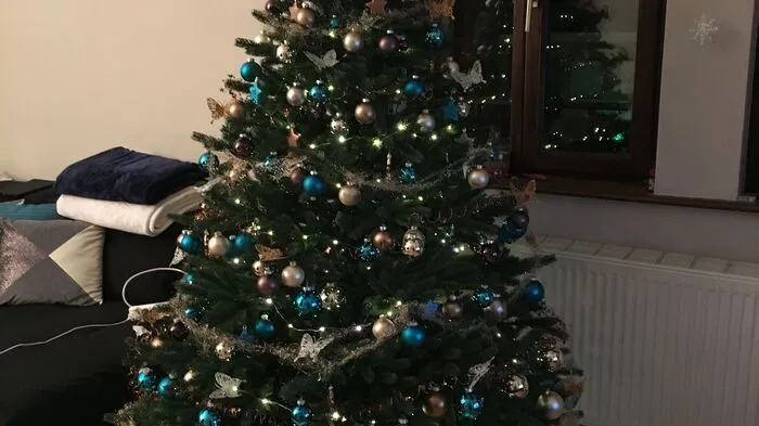 Das ist der hübsche Christbaum von Familie Pöcher aus Friesach! "Auf diesem Wege wünschen wir allen einen gesundes erfolgreiches neues Jahr 2019", schreiben uns Marion, Michi, Valentina und Leonie Pöcher.