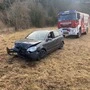 Wegen Wildwechsels kam ein Pkw von der Straße ab, die Lenkerin zog sich Verletzungen unbestimmten Grades zu