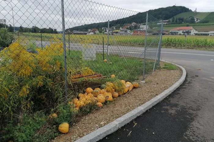 Weitere Fotos aus St. Stefan im Rosental...