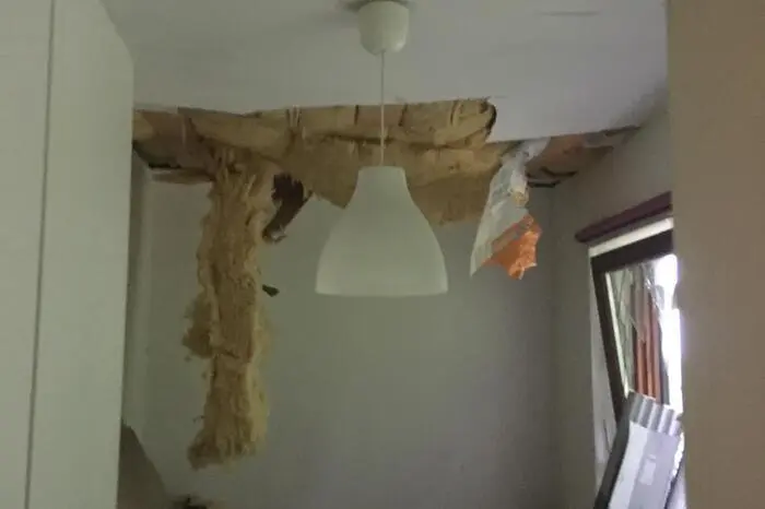 Glück im Unglück: Der Baum durchschlug das Dach, darunter befindet sich ein Kinderzimmer. Es wurde jedoch niemand verletzt.
