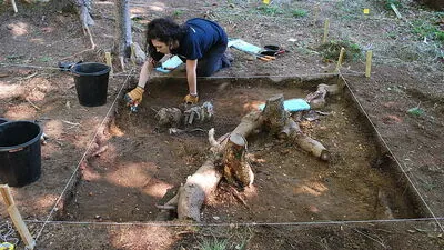 Teile des Wracks haben die Studenten schon ausgegraben