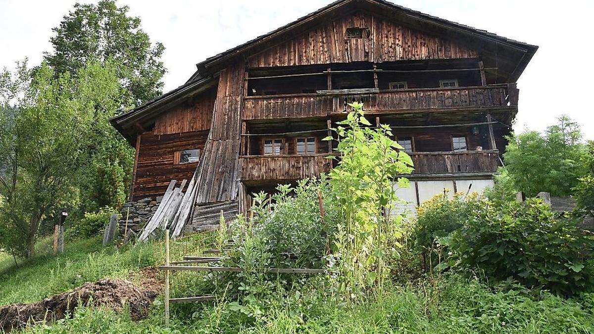 Auf diesem Acker in Assling werden auch Ackerbohnen, die „Pustertaler Schollepoan“, angebaut und über Jahrzehnte vermehrt 