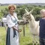 Der „quirlige Silberfuchs“ Rupert mit ATV-Amor Arabella Kiesbauer und einem seiner fünf flauschigen Lamas