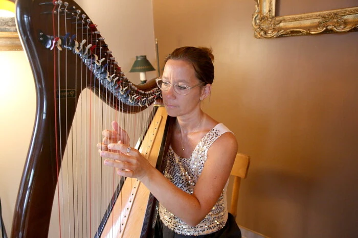 Für die musikalische Umrahmung sorgte Jennifer Kresitschnig auf der irischen Hakenharfe. 