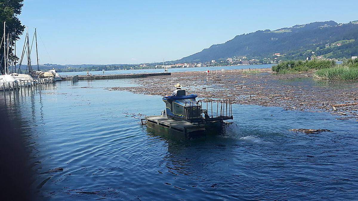 Funde am Bodensee