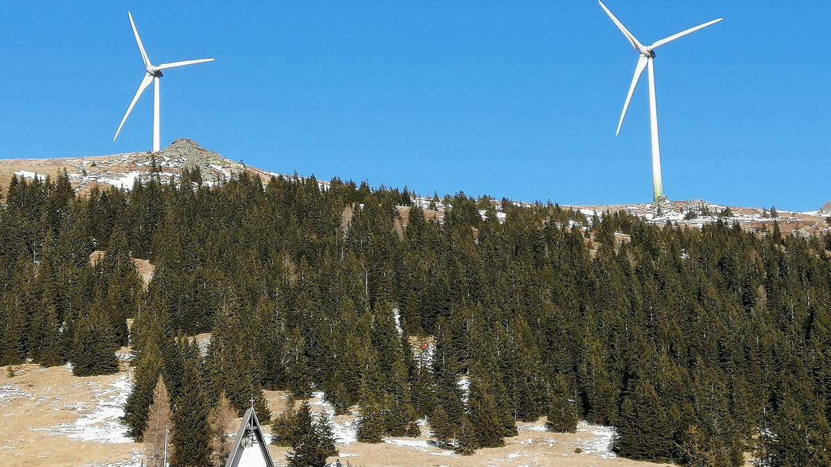 Die Wirtschaftskammer fordert den Ausbau erneuerbarer Energieformen