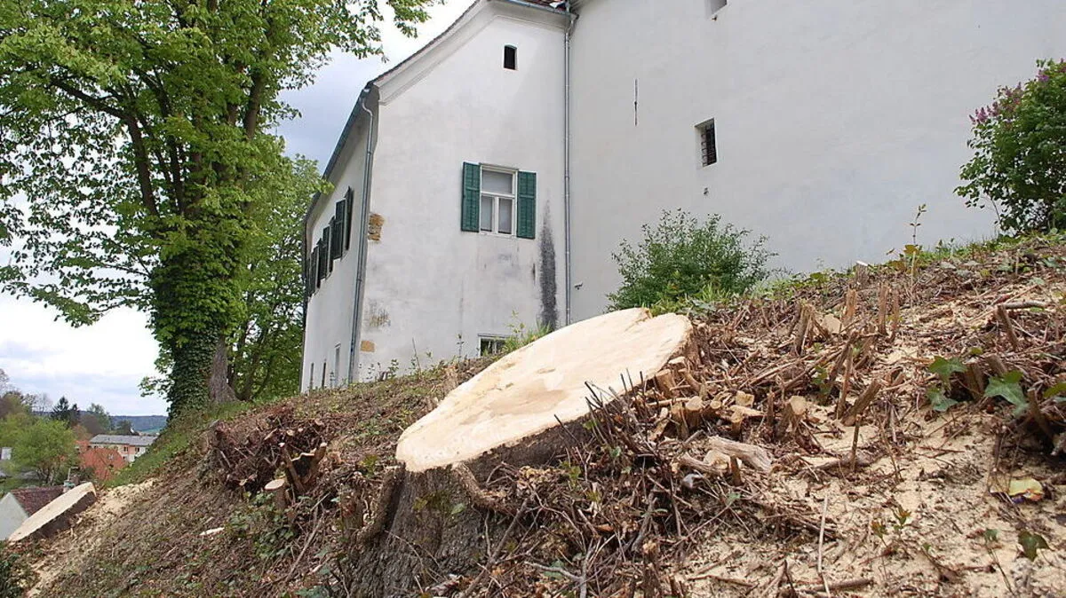 Beim Hartberger Schloss wurde dieser Tage die Motorsäge gestartet