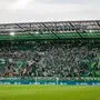 Die Fans wollen Rapid zum Sieg treiben